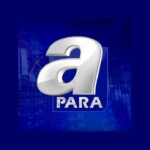A Para