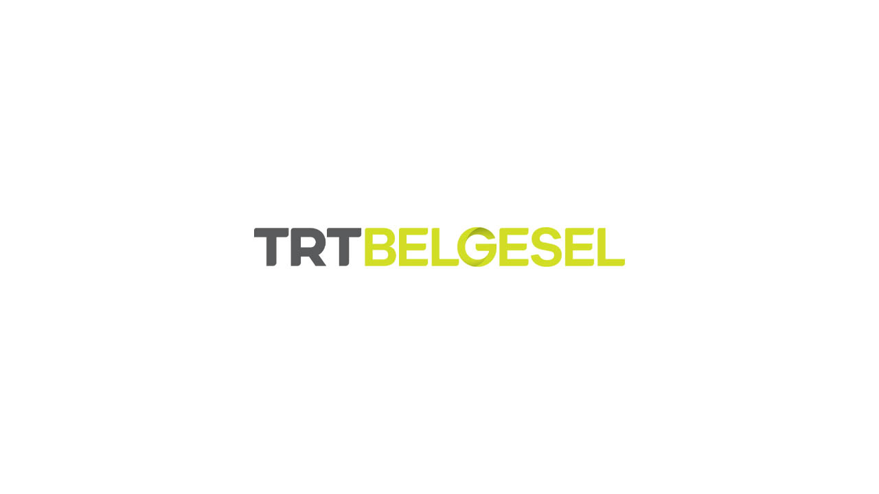 TRT Belgesel